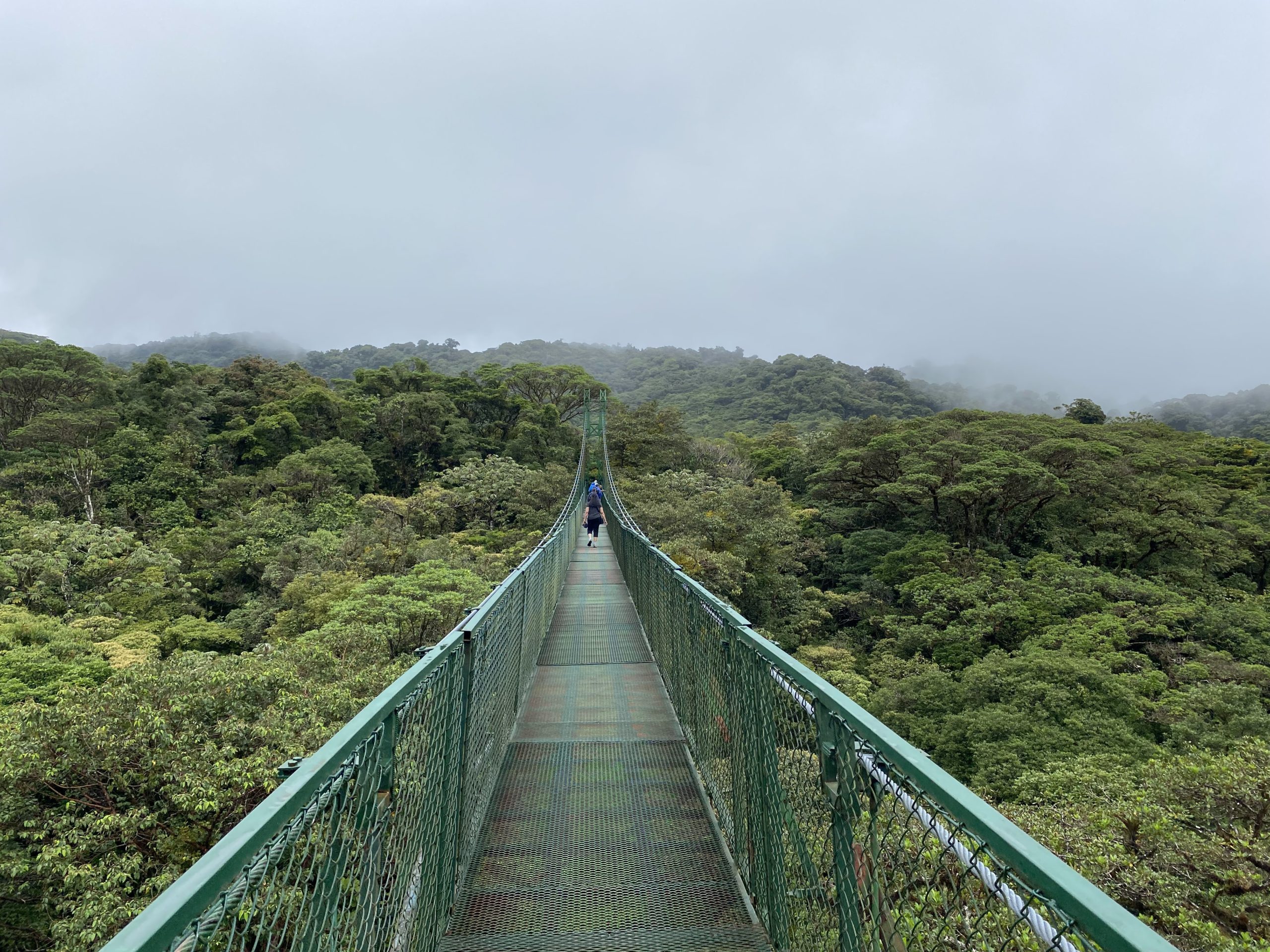 Monteverde Cloud Forest in Costa Rica